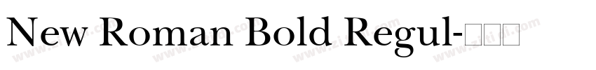 New Roman Bold Regul字体转换
